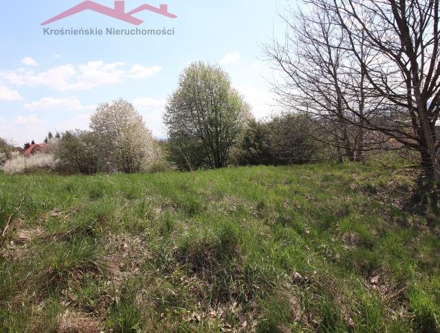 Działka widokowa 19 ar z lasem, cicha okolica Potok  1 891m2 Foto 1