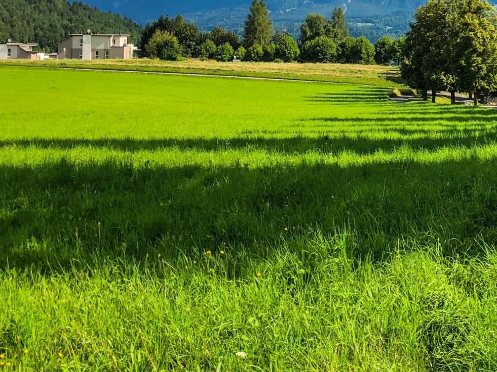 Działka budowlana na sprzedaż Wasilków  9 230m2 Foto 1