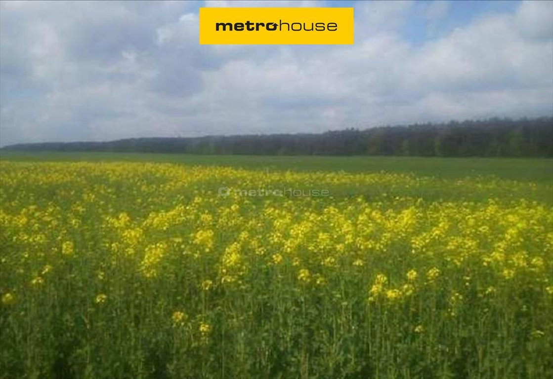 Działka z jeziorem 66,5 ha pod Poznaniem, inwestycja Skrzynki  66 500m2 Foto 1