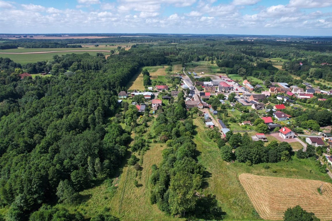 Działka inna na sprzedaż Wielka Wieś  4 000m2 Foto 3