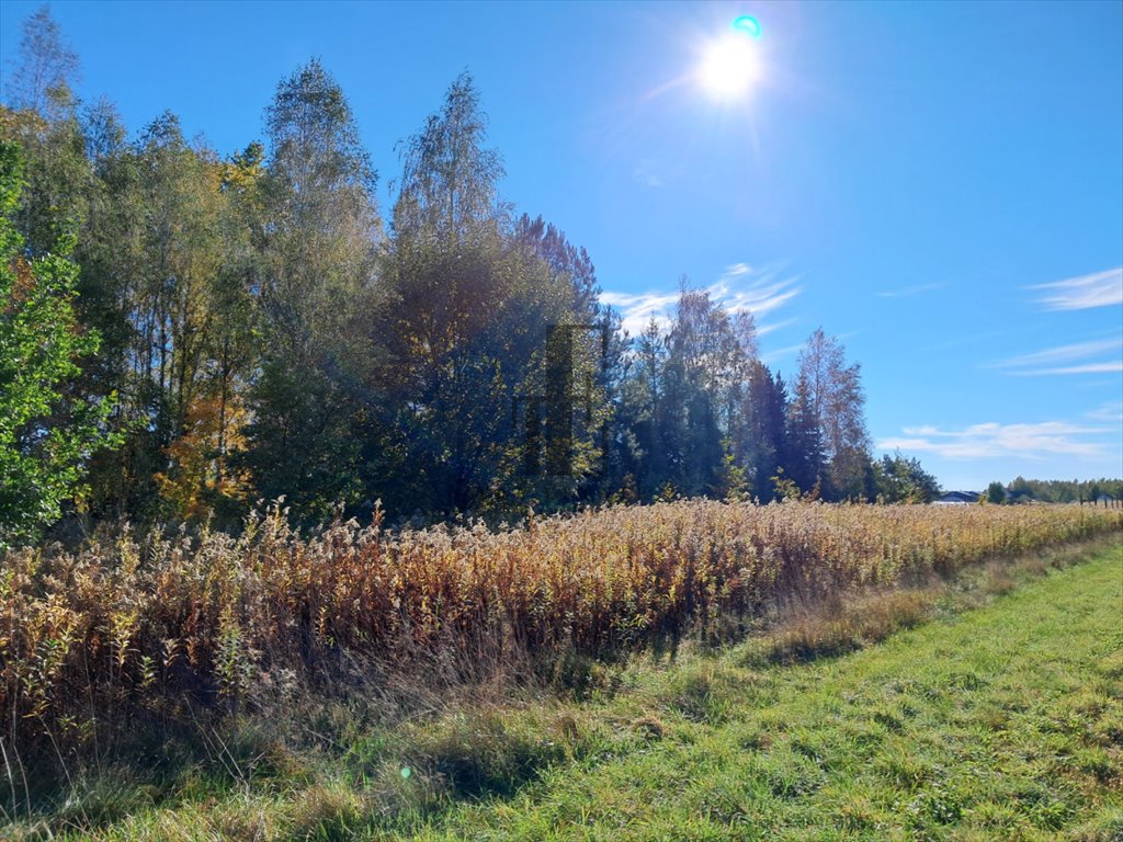 Działka budowlana na sprzedaż Dębe Wielkie  700m2 Foto 2