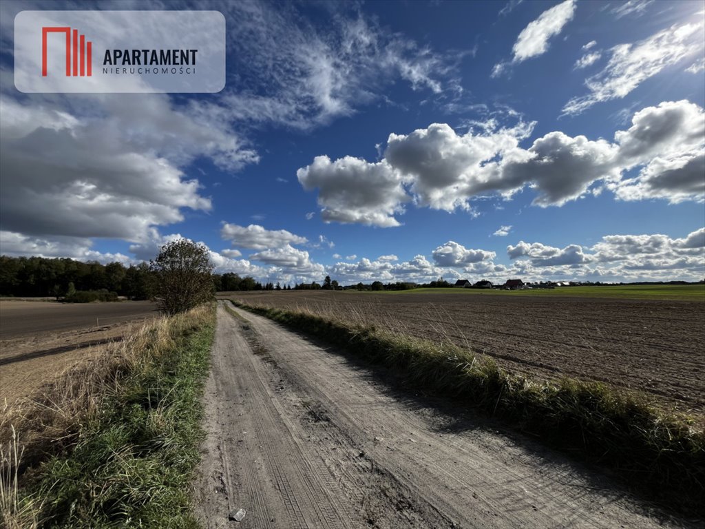 Działka gospodarstwo rolne na sprzedaż Karolewo  57 600m2 Foto 3