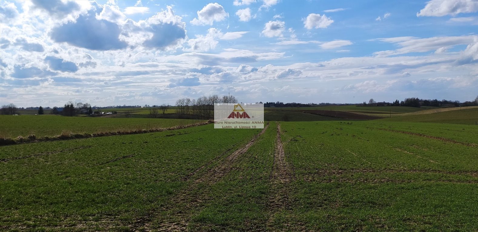 Działka 2600 m² przy drodze asfaltowej z MPZP i promocją Piotrawin  2 600m2 Foto 1