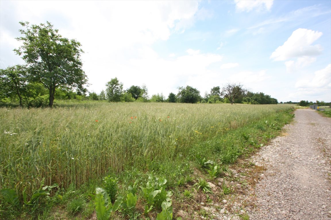 Działka budowlana na sprzedaż Płouszowice-Kolonia 1 700m2 Foto 1 Działka budowlana na sprzedaż Płouszowice-Kolonia 1 700m2 Foto 1