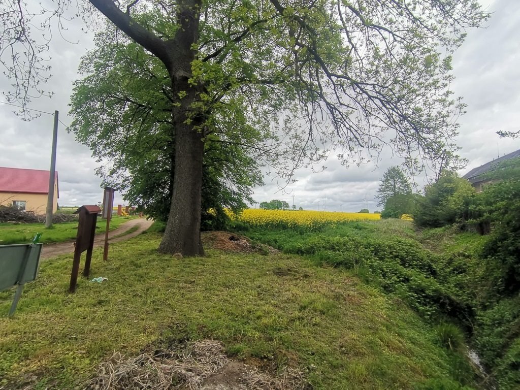 Działka budowlana na sprzedaż Jędrzychowice  1 960m2 Foto 15