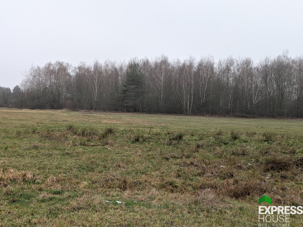 Działka rolna na sprzedaż Żabia Wola  4 900m2 Foto 1