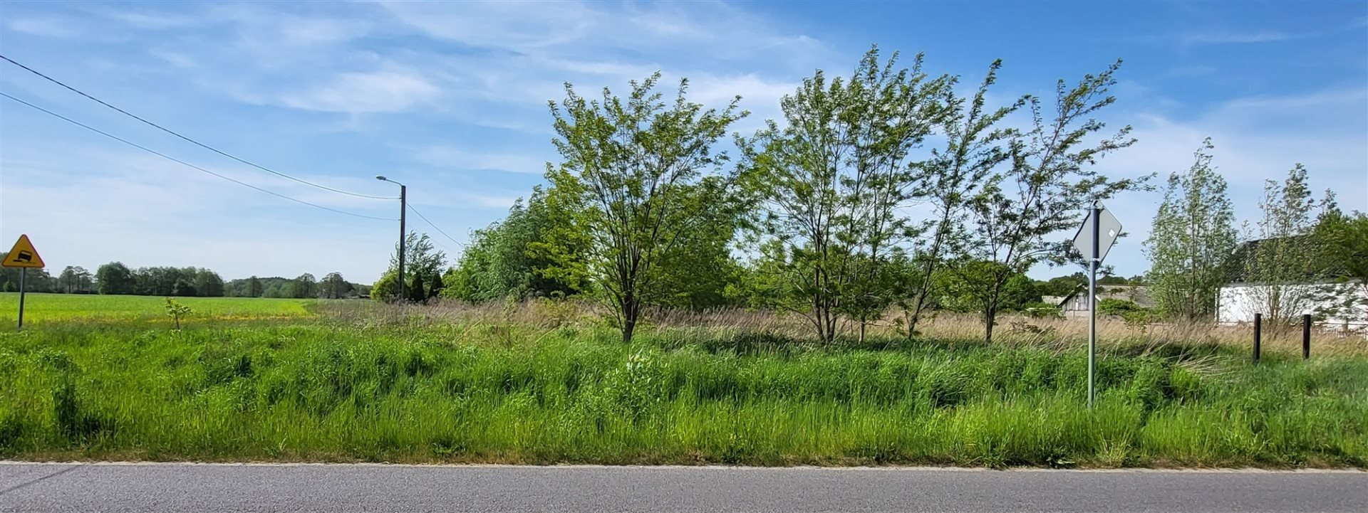 Zapraszam do zakupu działki 4000 m² z dojazdem asfaltowym Gajewniki  4 000m2 Foto 1