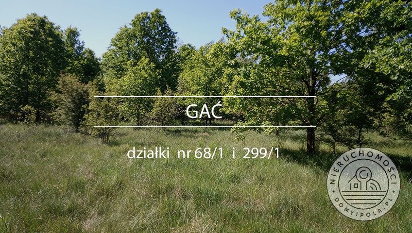 Urokliwe działki leśne i łąka w Gaći – 10 300 m² Gać  10 300m2 Foto 1