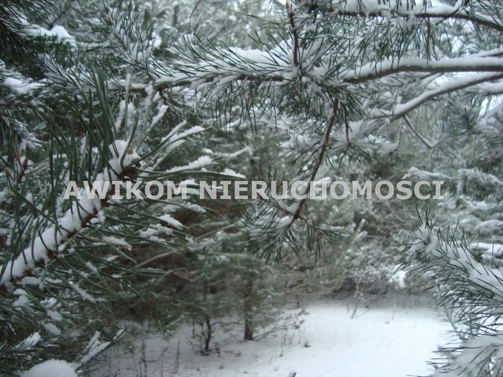 Działka 1500 m² z mediami, blisko lasu - polecam Żabia Wola, Ojrzanów  1 500m2 Foto 1
