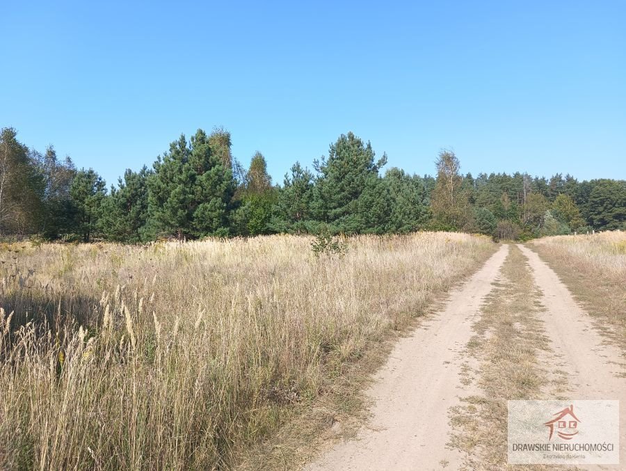 Działka rolna na sprzedaż Mielenko Drawskie, Mielenko Drawskie  71 700m2 Foto 11