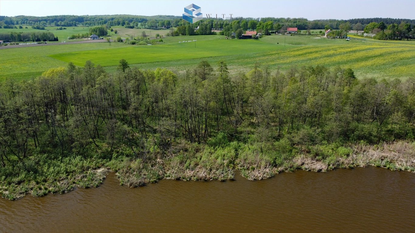 Działka inna na sprzedaż Zalewo  3 000m2 Foto 12