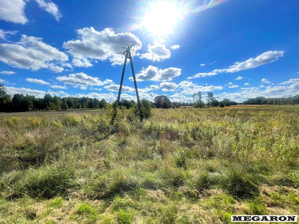 Działka inna na sprzedaż Jamno, Rusinów  7 260m2 Foto 5