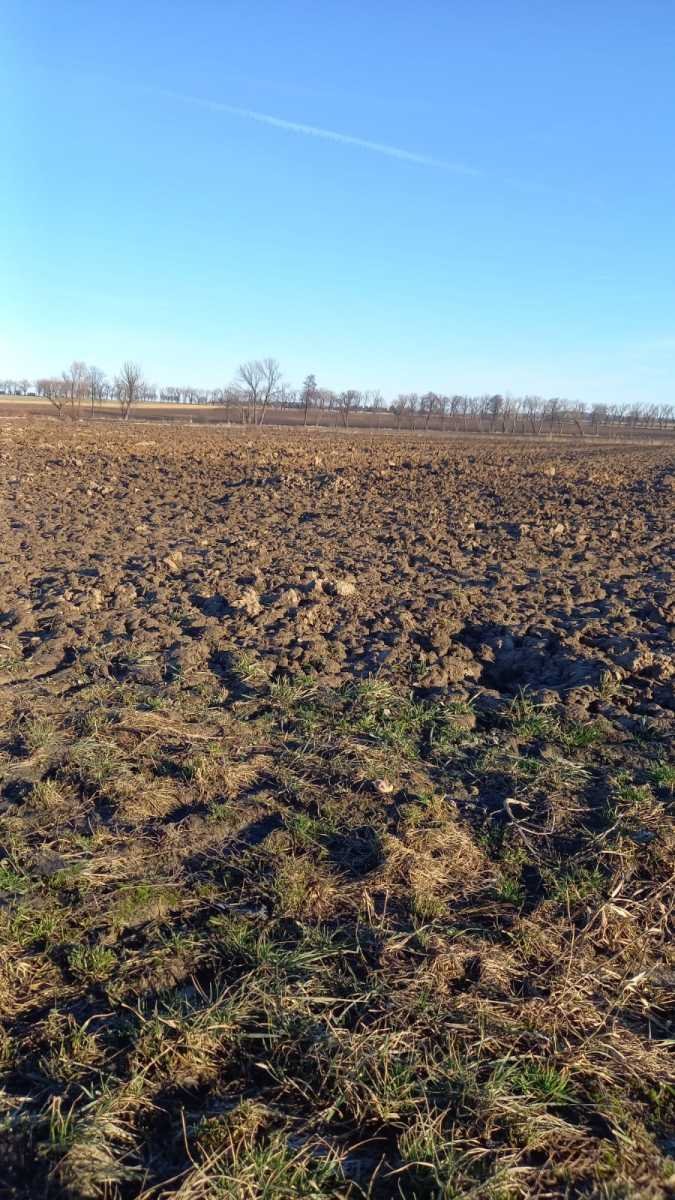 Działka inna na sprzedaż Świdnica, Burkatów  16 000m2 Foto 3