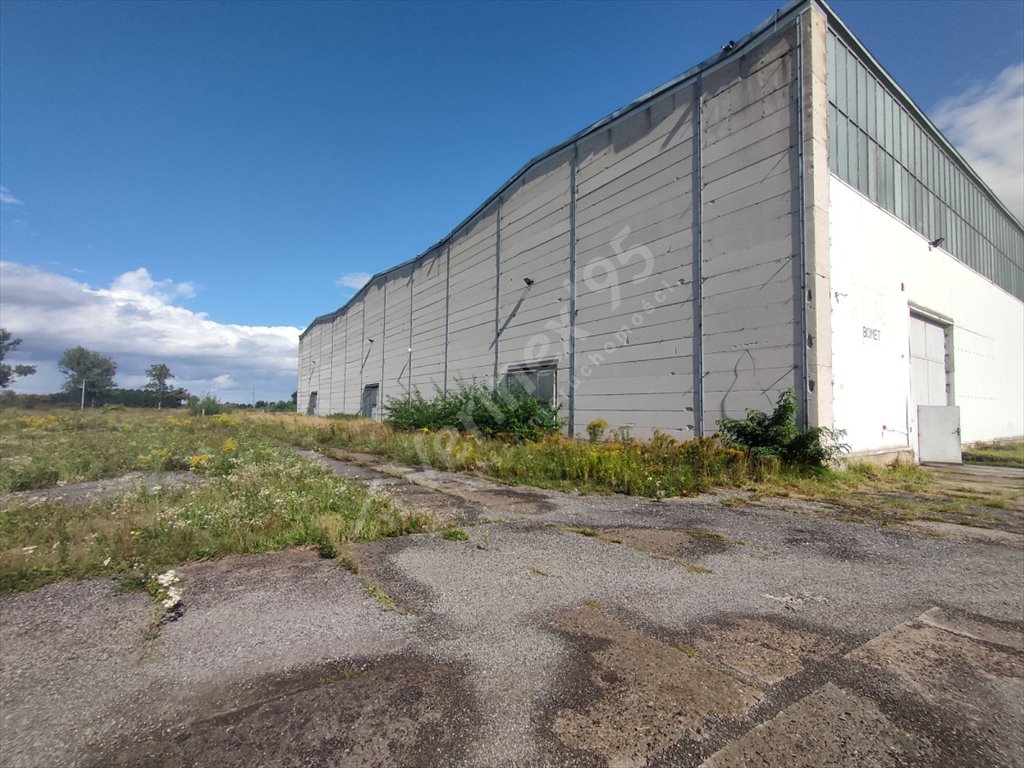 Lokal użytkowy na wynajem Żmigród  12 000m2 Foto 10