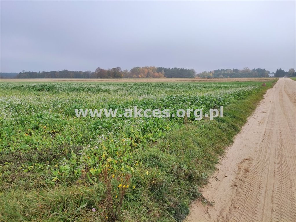 Działka rekreacyjna na sprzedaż Szumlin  3 000m2 Foto 1