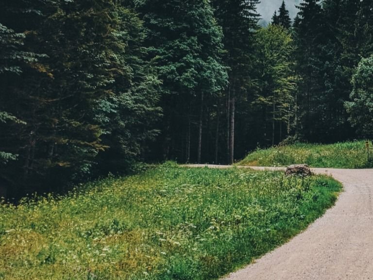 Działka gospodarstwo rolne na sprzedaż Bokiny  13 000m2 Foto 3