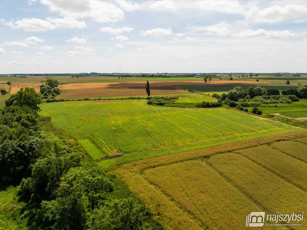 Działka rolna na sprzedaż Obromino  21 701m2 Foto 10