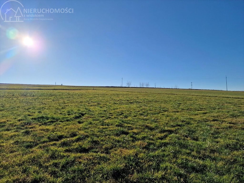 Działka budowlana na sprzedaż Turza  2 517m2 Foto 11