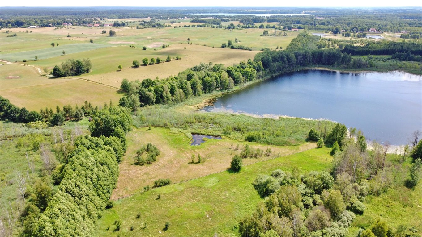 Działka rolna na sprzedaż Elganowo  10 700m2 Foto 5