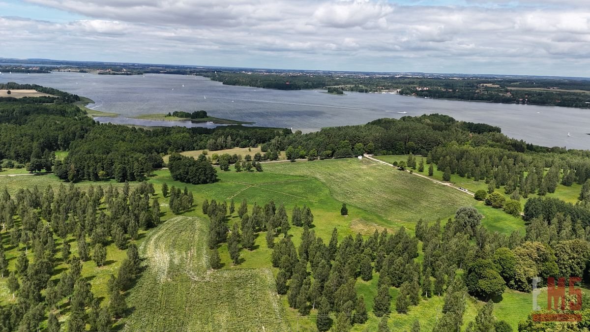 Działka inna na sprzedaż Ogonki  3 500m2 Foto 8