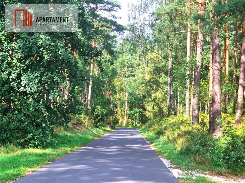 Działka gospodarstwo rolne na sprzedaż Biała  3 100m2 Foto 4