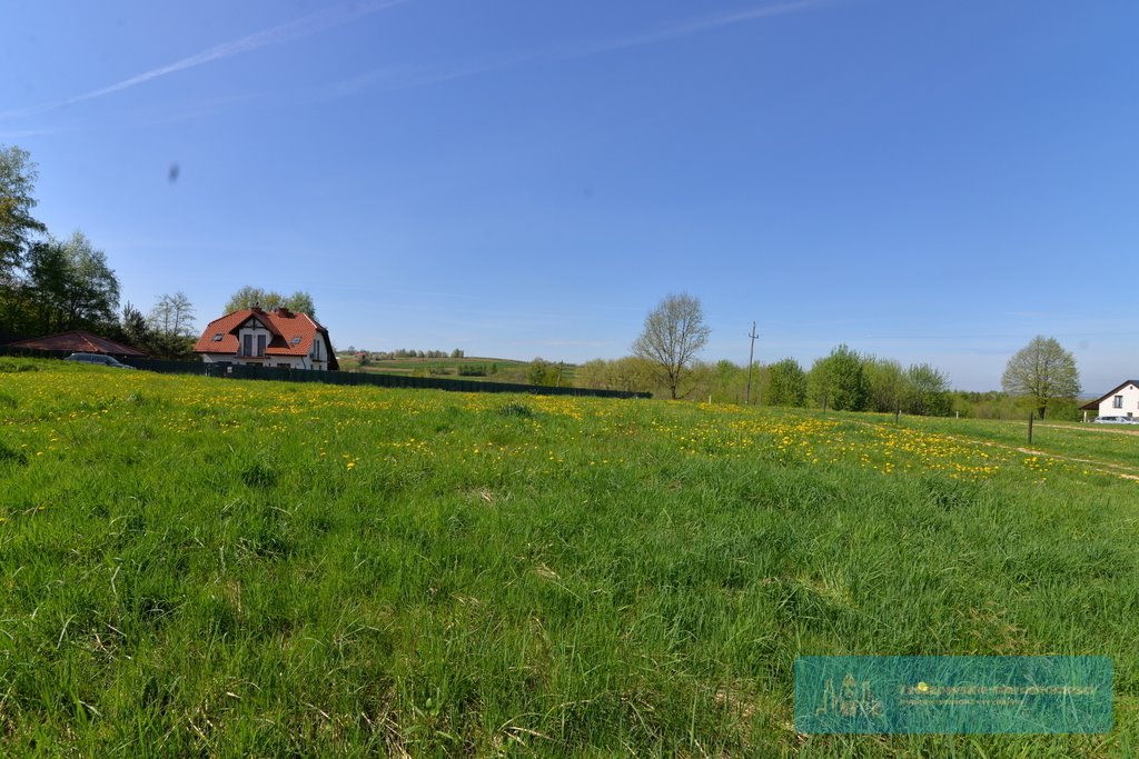 Działka budowlana na sprzedaż Tyczyn  667m2 Foto 3