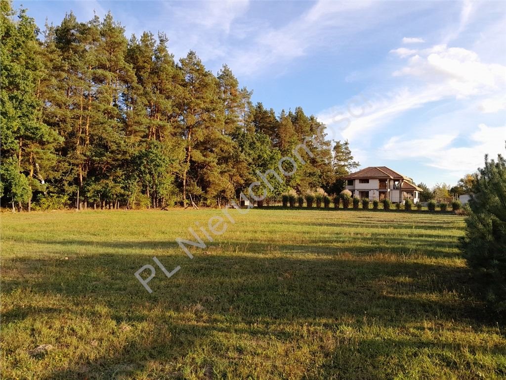 Działka budowlana na sprzedaż Terenia  1 501m2 Foto 2