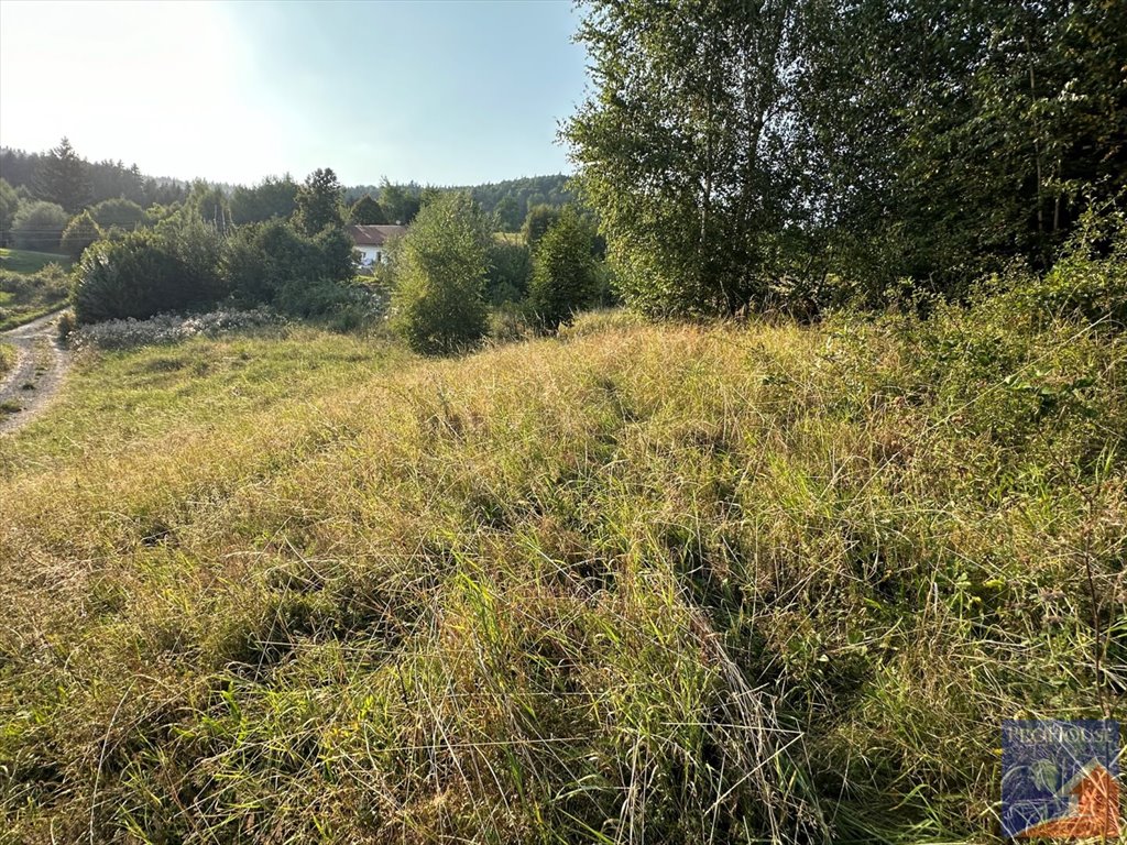 Działka budowlana na sprzedaż Męcina  950m2 Foto 4