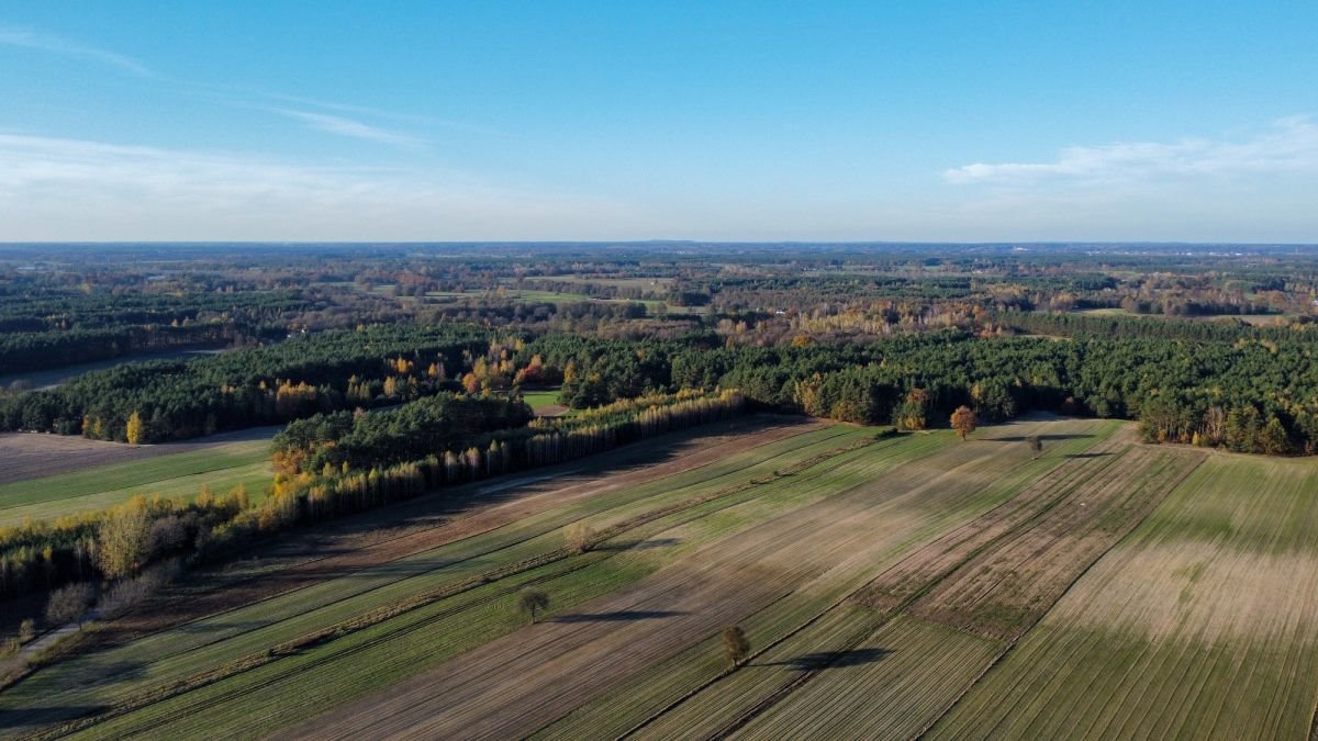 Działka budowlana na sprzedaż Bielino  71 988m2 Foto 8