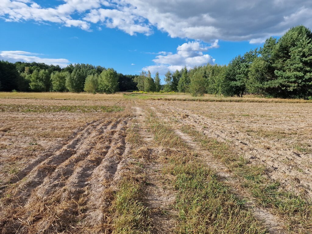 Działka rolna na sprzedaż Uhowo  9 290m2 Foto 2