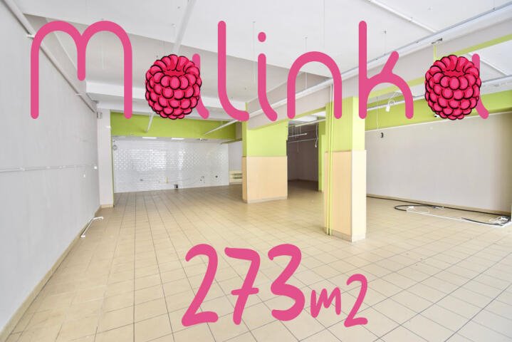 Lokal użytkowy na wynajem Opole  273m2 Foto 1