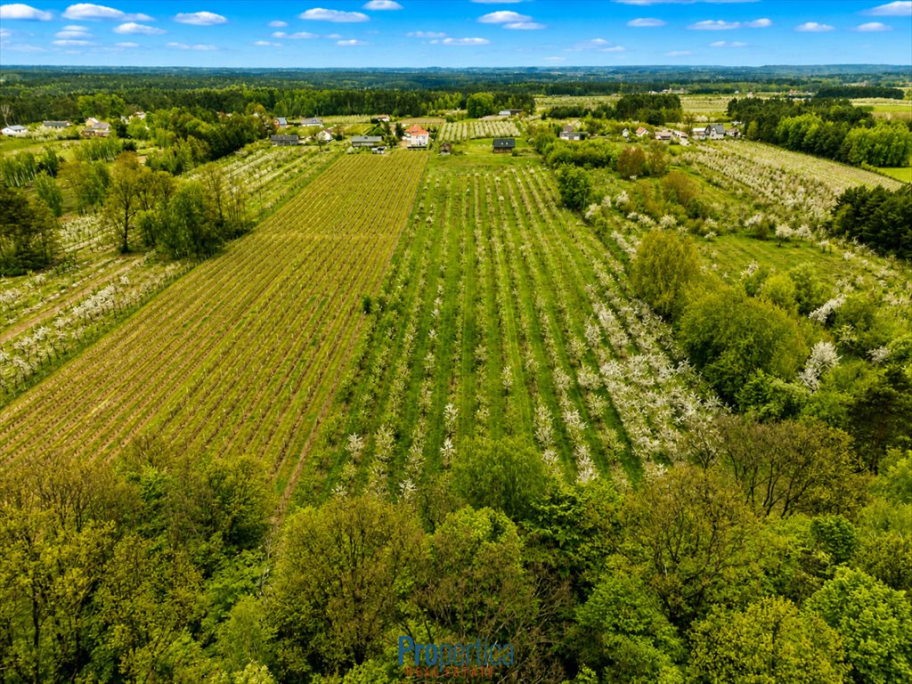 Na sprzedaż działka 47 200 m² z mediami i dużym potencjałem Kocerany, Nowy Trakt  47 200m2 Foto 1