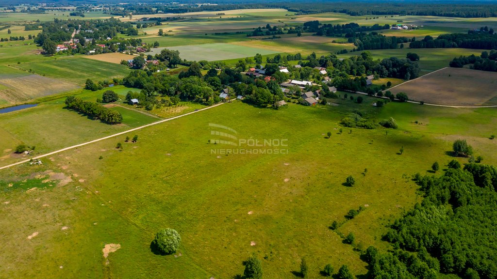 Działka rolna na sprzedaż Mieleszki-Kolonia  3 003m2 Foto 12