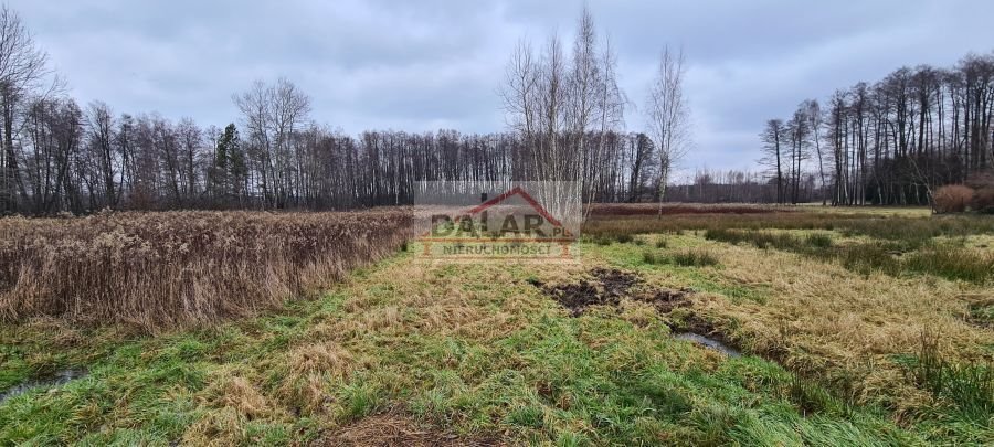 Działka budowlana na sprzedaż Sierzchów  1 500m2 Foto 2