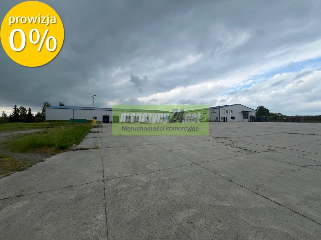 Magazyn na wynajem Grójec  3 400m2 Foto 16