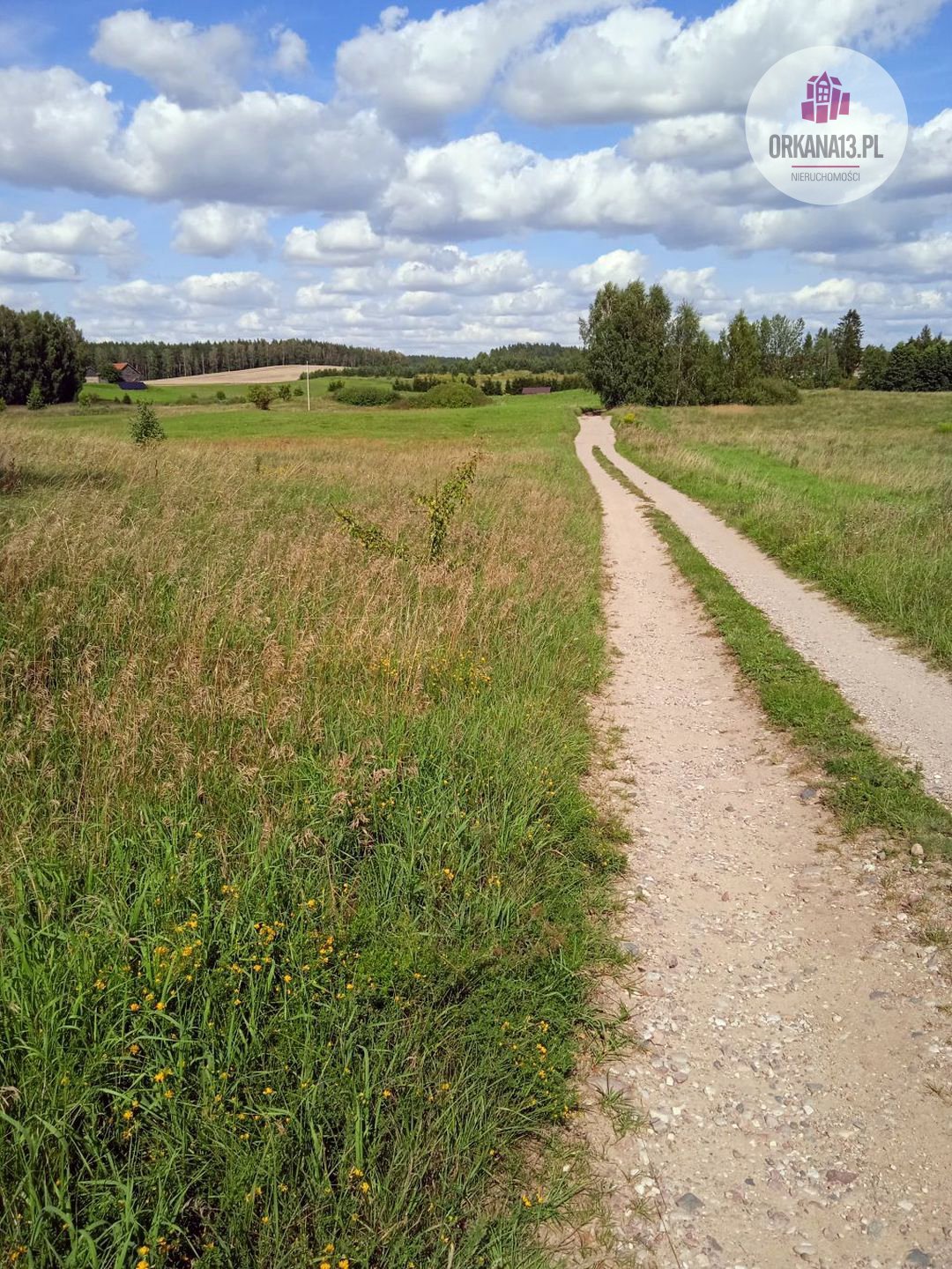 Działka rolna na sprzedaż Biesówko, Biesówko  4 093m2 Foto 7