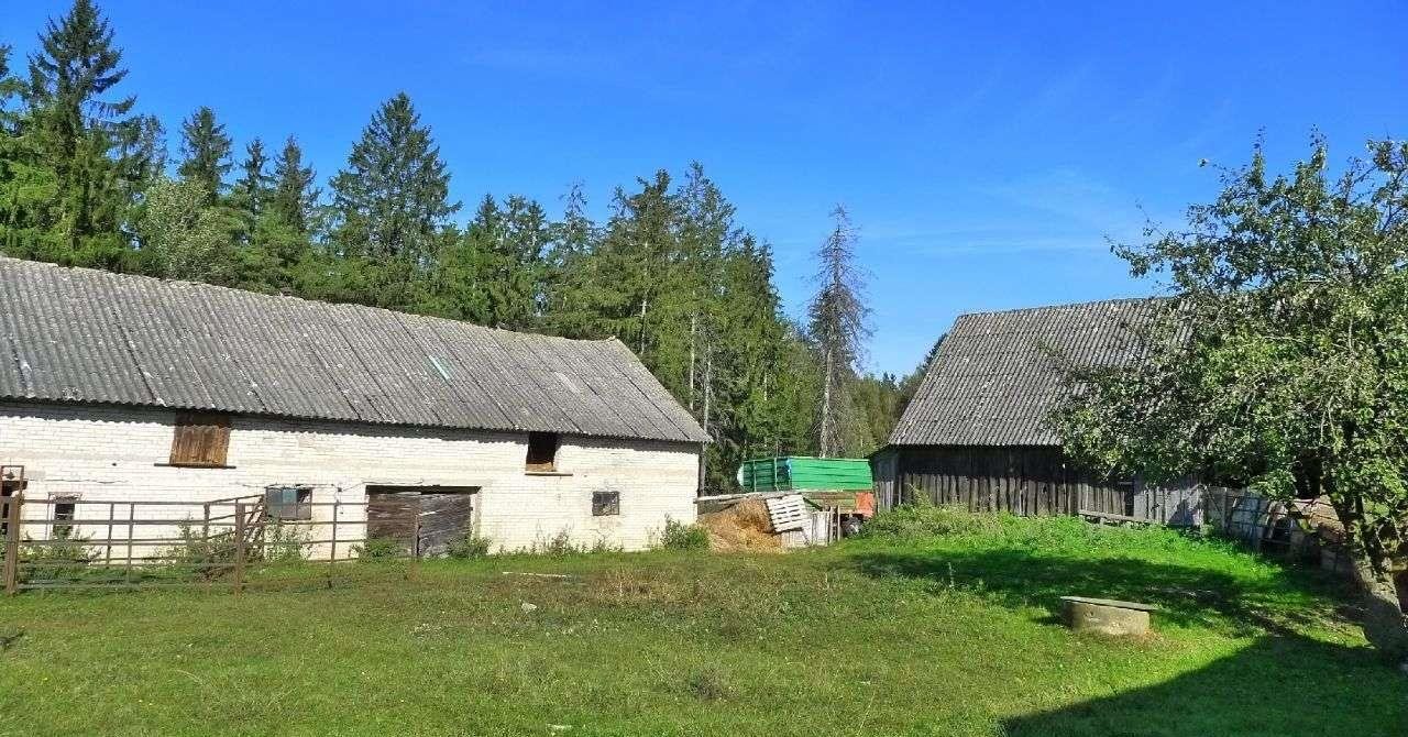 Dom na sprzedaż Wiżajny  120m2 Foto 15