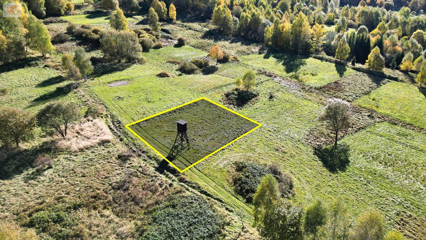 Działka budowlana na sprzedaż Koszarawa  780m2 Foto 1