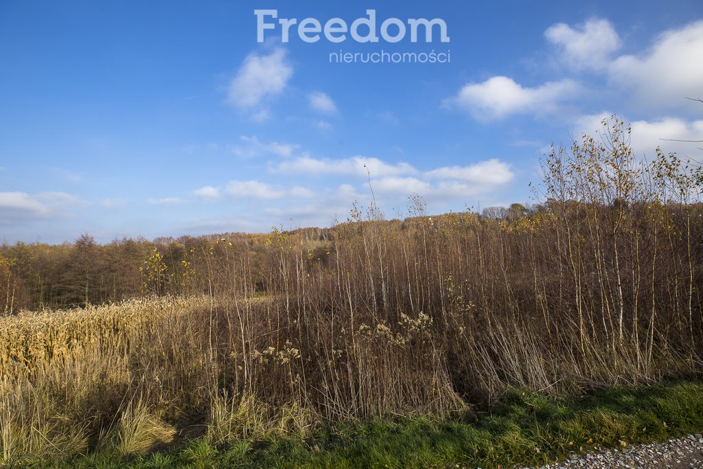 Działka budowlana na sprzedaż Rzeszów, Przybyszówka Górna, Leśne Wzgórze  3 585m2 Foto 11