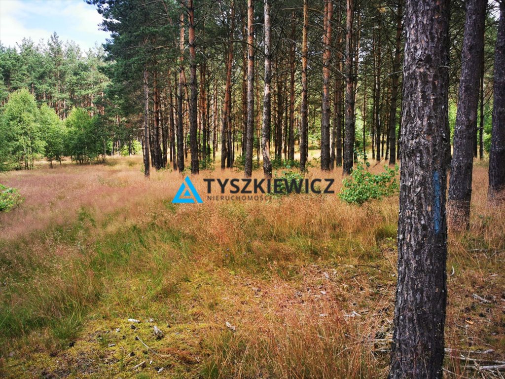 Działka leśna na sprzedaż Wygonin  2 092m2 Foto 1