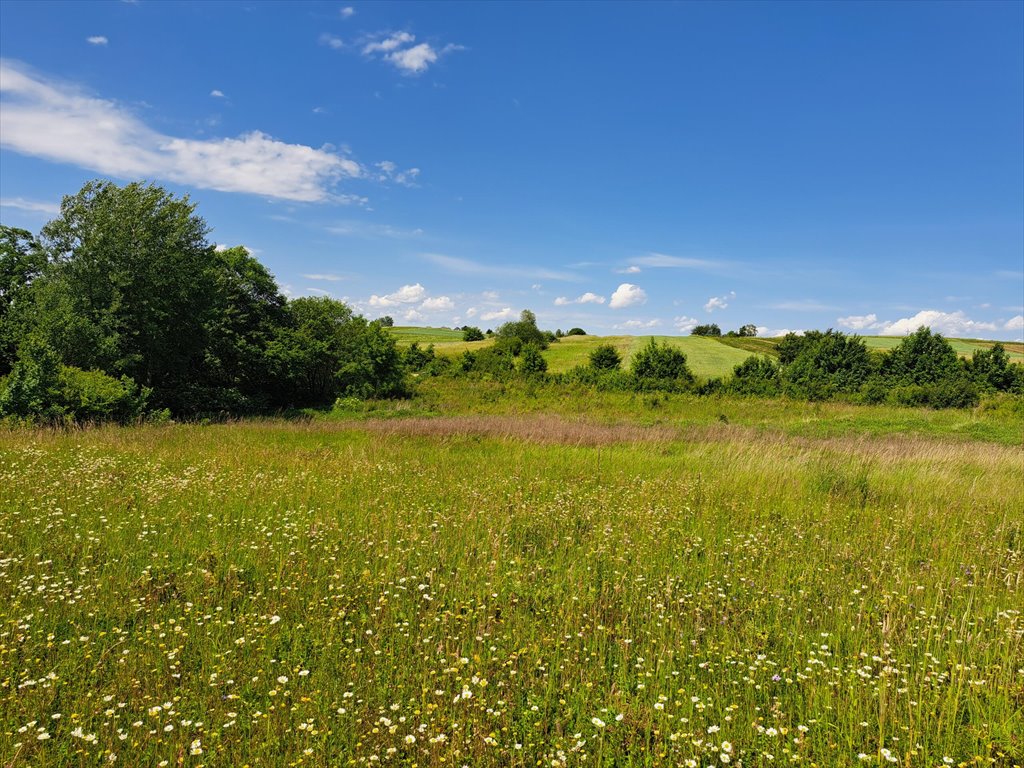 Działka leśna na sprzedaż Podniebyle  6 089m2 Foto 3