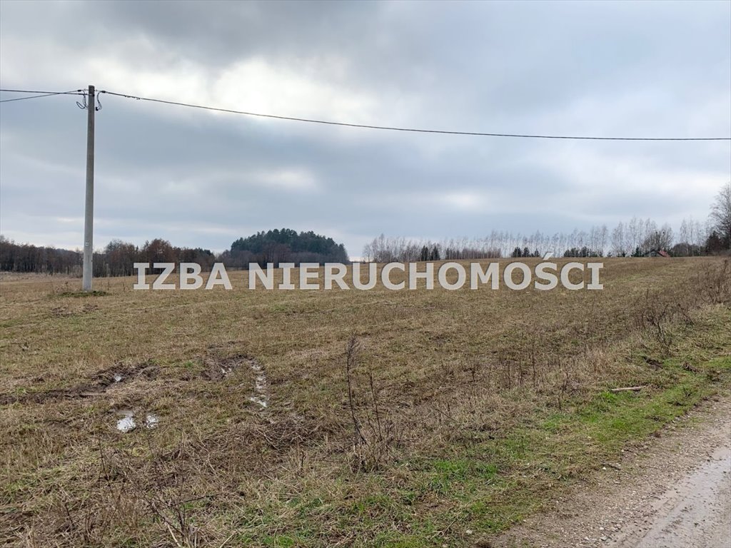 Działka rekreacyjna na sprzedaż Rękusy  3 000m2 Foto 10