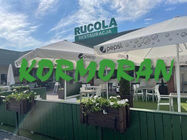 Lokal użytkowy na sprzedaż Zawada, Oleska  250m2 Foto 9