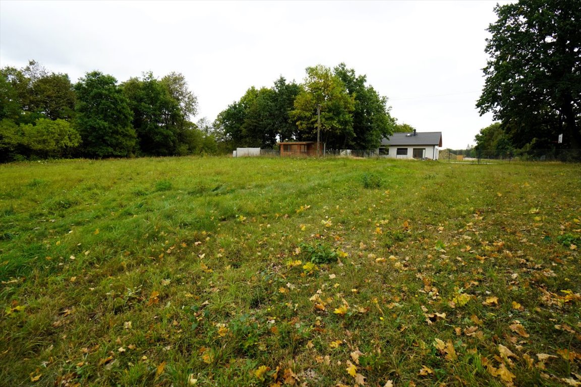 Działka budowlana na sprzedaż Korfowe  7 000m2 Foto 6