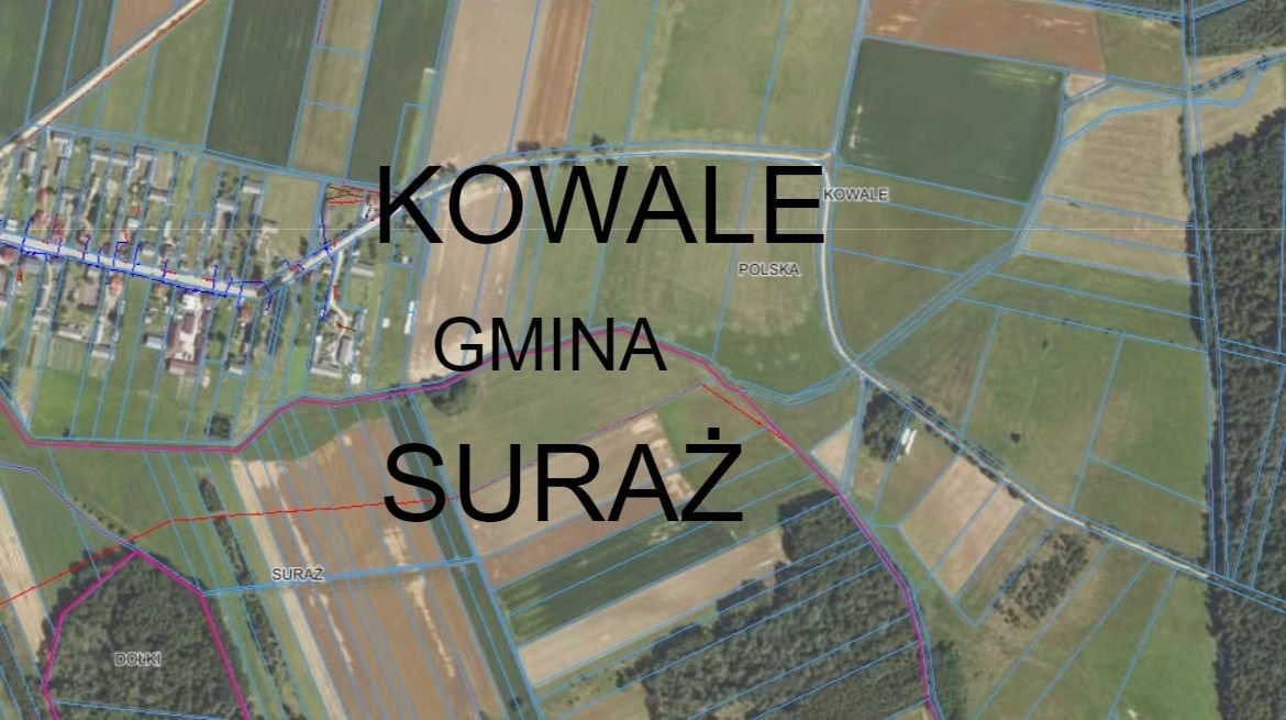 Działka gospodarstwo rolne na sprzedaż Kowale  4 100m2 Foto 1