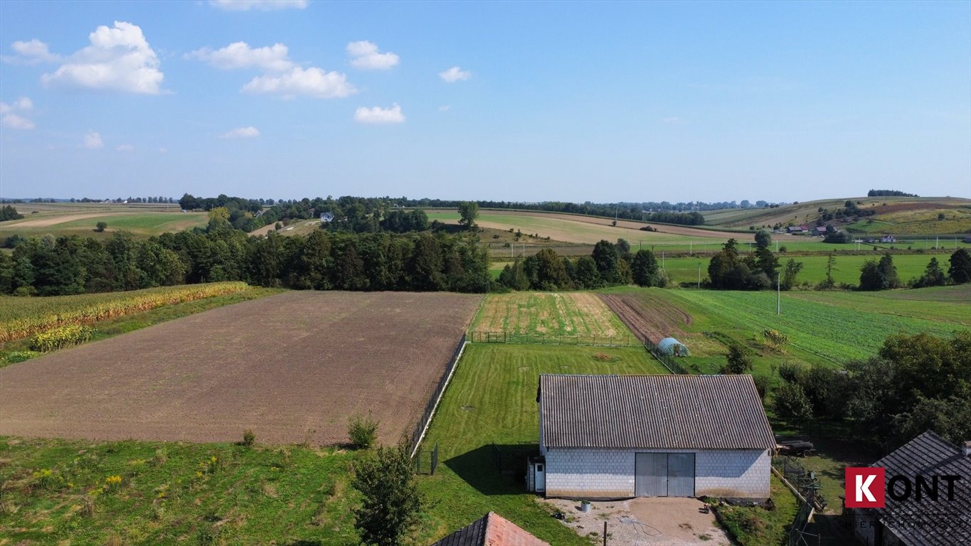 Działka budowlana na sprzedaż Januszowice  6 000m2 Foto 14