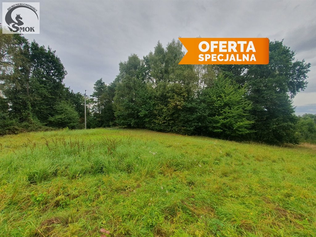 Widokowa działka w Chorągwicy, 1200 m2, prywatność Chorągwica  1 200m2 Foto 1