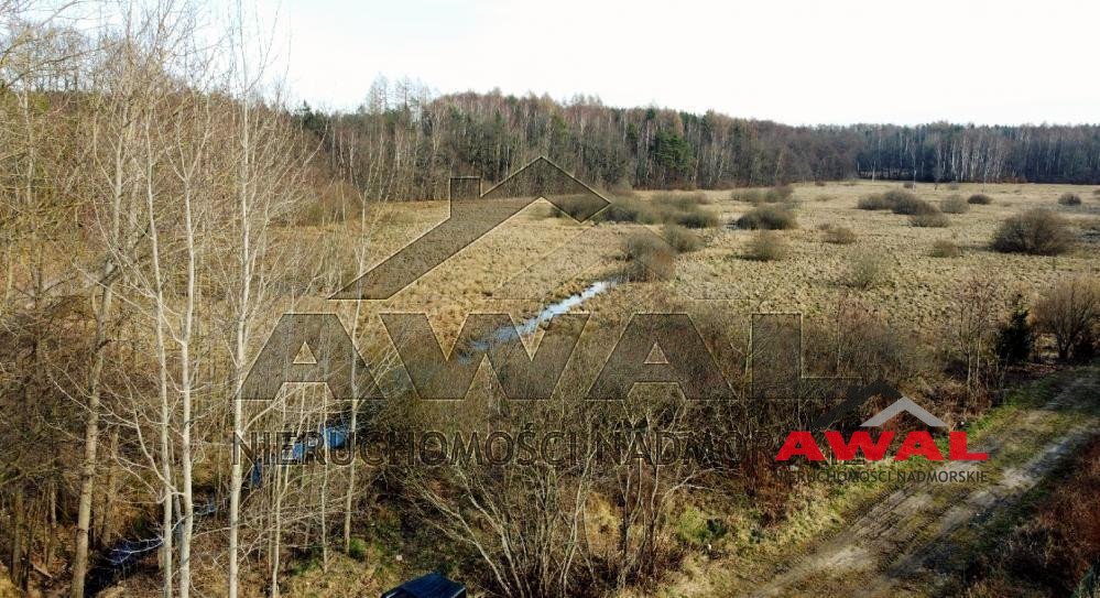 Działka gospodarstwo rolne na sprzedaż Leśniewo, Mechowska  25 200m2 Foto 4