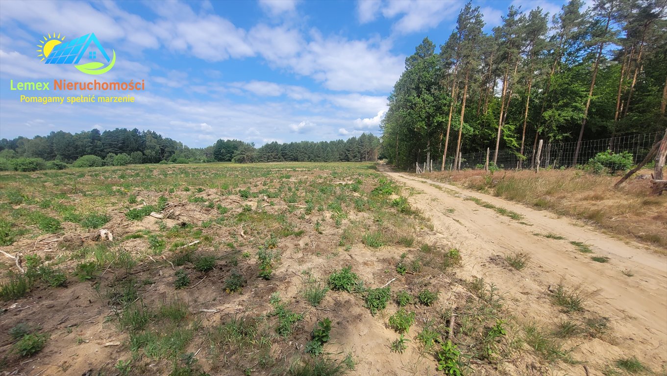 Działka budowlana na sprzedaż Rybakowo, Jodłowa, Dębowa  19 056m2 Foto 1