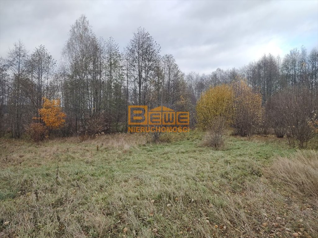 Działka budowlana na sprzedaż Skrybicze  1 362m2 Foto 4